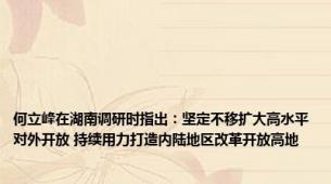 何立峰在湖南调研时指出：坚定不移扩大高水平对外开放 持续用力打造内陆地区改革开放高地