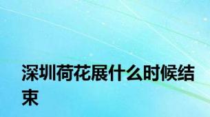 深圳荷花展什么时候结束