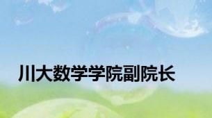 川大数学学院副院长