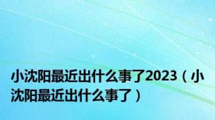 小沈阳最近出什么事了2023（小沈阳最近出什么事了）