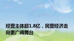 经营主体超1.8亿，民营经济走向更广阔舞台