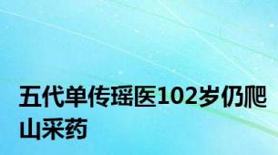 五代单传瑶医102岁仍爬山采药