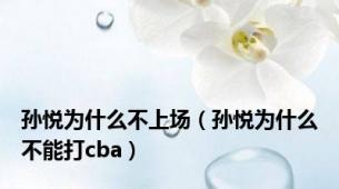 孙悦为什么不上场（孙悦为什么不能打cba）