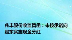 兆丰股份收监管函：未按承诺向股东实施现金分红