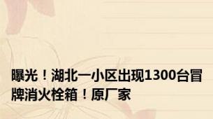 曝光！湖北一小区出现1300台冒牌消火栓箱！原厂家