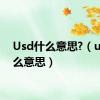 Usd什么意思?（usd什么意思）