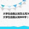 大学生自我认知怎么写300字（大学生自我认知800字）