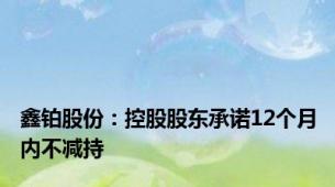 鑫铂股份：控股股东承诺12个月内不减持