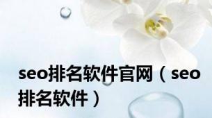 seo排名软件官网（seo排名软件）