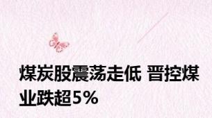 煤炭股震荡走低 晋控煤业跌超5%