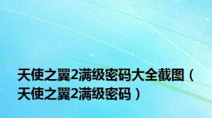 天使之翼2满级密码大全截图（天使之翼2满级密码）