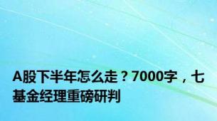 A股下半年怎么走？7000字，七基金经理重磅研判