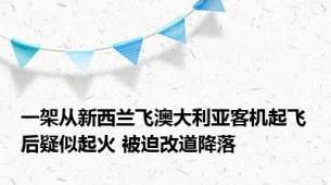 一架从新西兰飞澳大利亚客机起飞后疑似起火 被迫改道降落