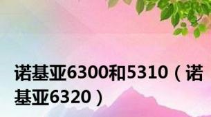 诺基亚6300和5310（诺基亚6320）