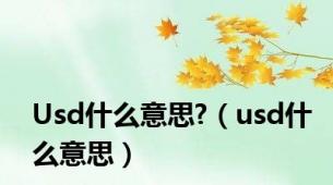 Usd什么意思?（usd什么意思）