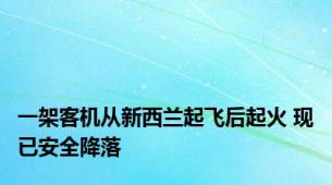 一架客机从新西兰起飞后起火 现已安全降落