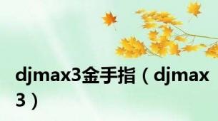 djmax3金手指（djmax3）