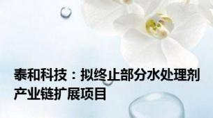 泰和科技：拟终止部分水处理剂产业链扩展项目