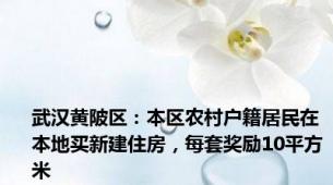 武汉黄陂区：本区农村户籍居民在本地买新建住房，每套奖励10平方米