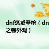 dnf惩戒圣枪（dnf惩戒之镰外观）