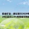 紫金矿业：建议发行2029年到期的20亿美元1.0%有担保可换股债券