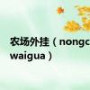 农场外挂（nongchangwaigua）