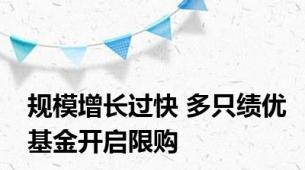 规模增长过快 多只绩优基金开启限购