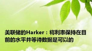 美联储的Harker：将利率保持在目前的水平并等待数据是可以的