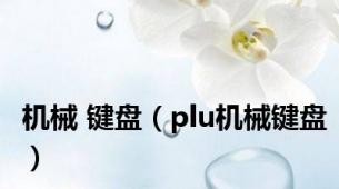 机械 键盘（plu机械键盘）