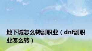 地下城怎么转副职业（dnf副职业怎么转）