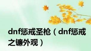 dnf惩戒圣枪（dnf惩戒之镰外观）