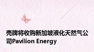 壳牌将收购新加坡液化天然气公司Pavilion Energy