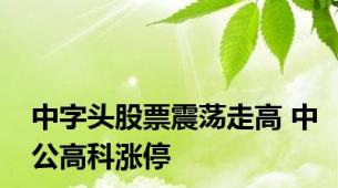 中字头股票震荡走高 中公高科涨停