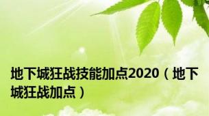 地下城狂战技能加点2020（地下城狂战加点）