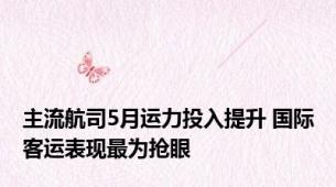 主流航司5月运力投入提升 国际客运表现最为抢眼