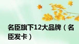 名臣旗下12大品牌（名臣发卡）