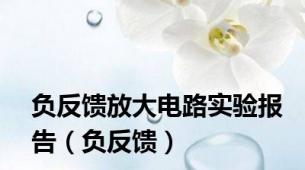 负反馈放大电路实验报告（负反馈）