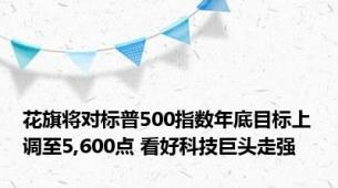 花旗将对标普500指数年底目标上调至5,600点 看好科技巨头走强