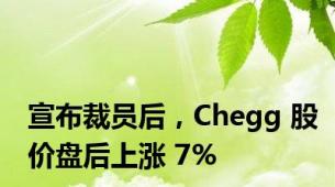 宣布裁员后，Chegg 股价盘后上涨 7%