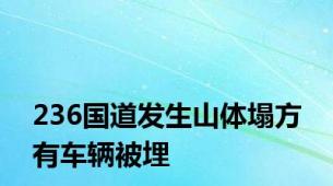 236国道发生山体塌方 有车辆被埋