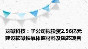 龙磁科技：子公司拟投资2.56亿元建设软磁铁氧体原材料及磁芯项目