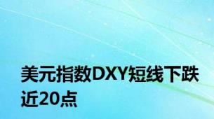 美元指数DXY短线下跌近20点