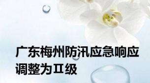 广东梅州防汛应急响应调整为Ⅱ级