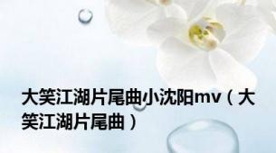 大笑江湖片尾曲小沈阳mv（大笑江湖片尾曲）