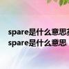 spare是什么意思英语（spare是什么意思）