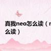 真我neo怎么读（neo怎么读）