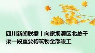 四川新闻联播丨向家坝灌区北总干渠一段重要构筑物全部竣工