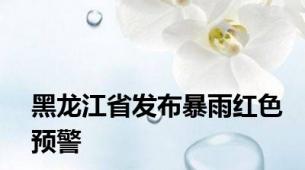 黑龙江省发布暴雨红色预警