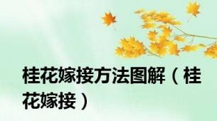 桂花嫁接方法图解（桂花嫁接）