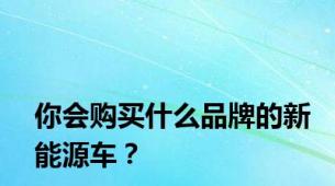 你会购买什么品牌的新能源车？